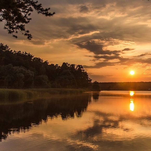 Meet your Posher, Michele - Picture 1 of 2